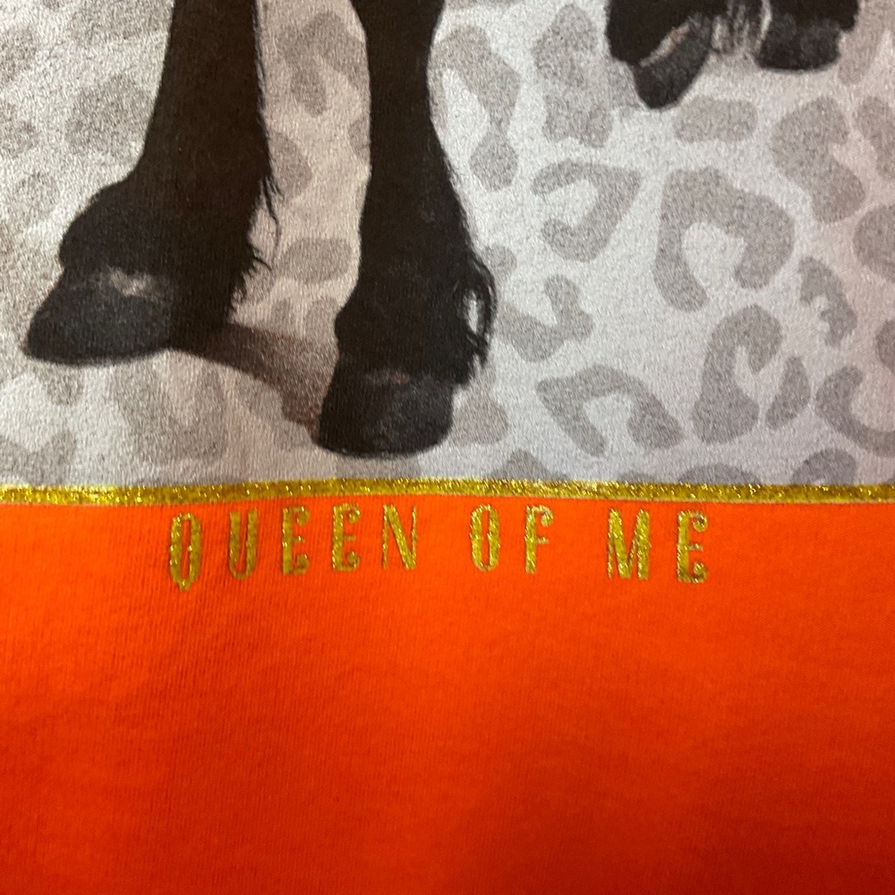 Shania Twain Queen Of Me Orange Hoodie Size Large - Picture 4 of 5